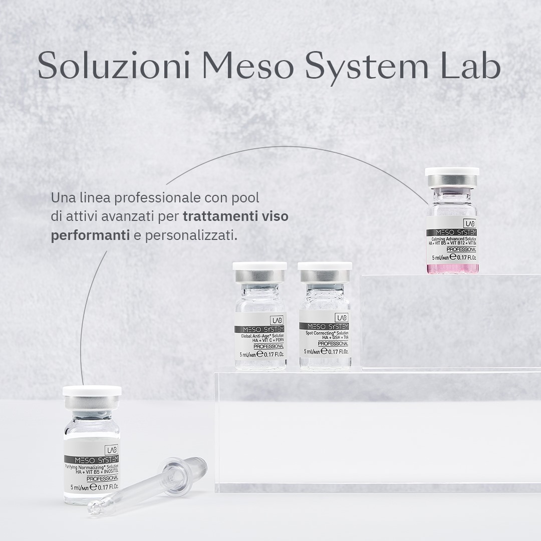 MESO SYSTEM LAB a Dalmine MESO SYSTEM LAB a Dalmine